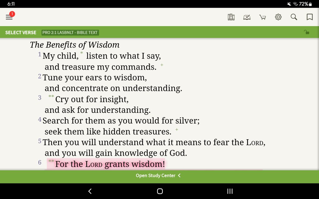 My Daily Bread (Day 1) – Acting Upon the Wisdom of&nbsp;God