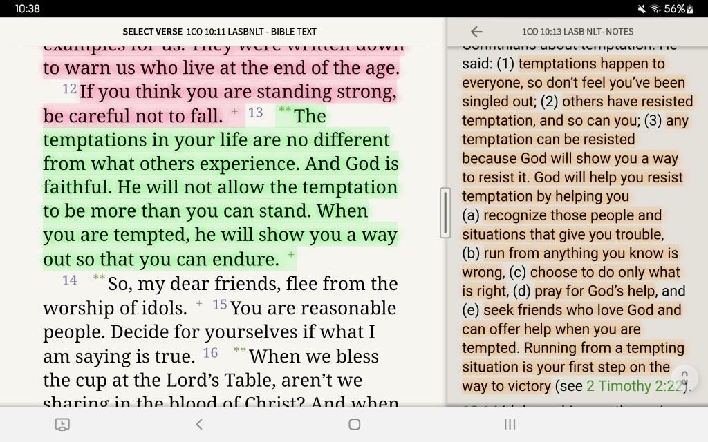 My Daily Bread (Day 38) – Dealing with Daily&nbsp;Temptations