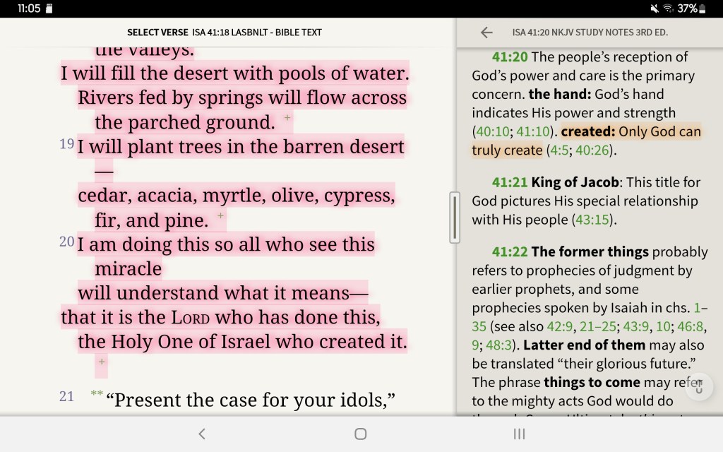 My Daily Bread (Day 35) – Remember the Blesser, Not the&nbsp;Blessing