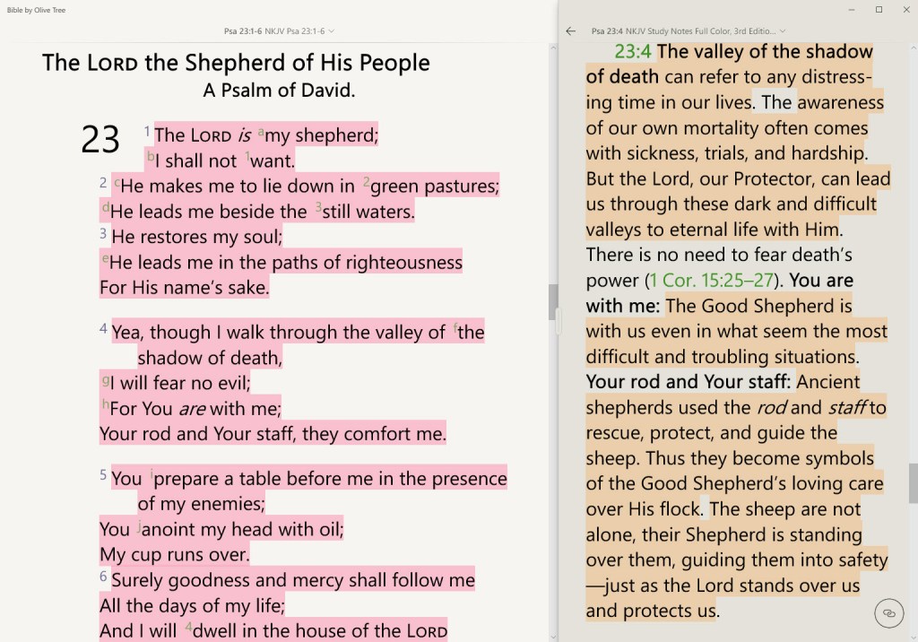 My Daily Bread (Day 46) – God is Always with&nbsp;Us