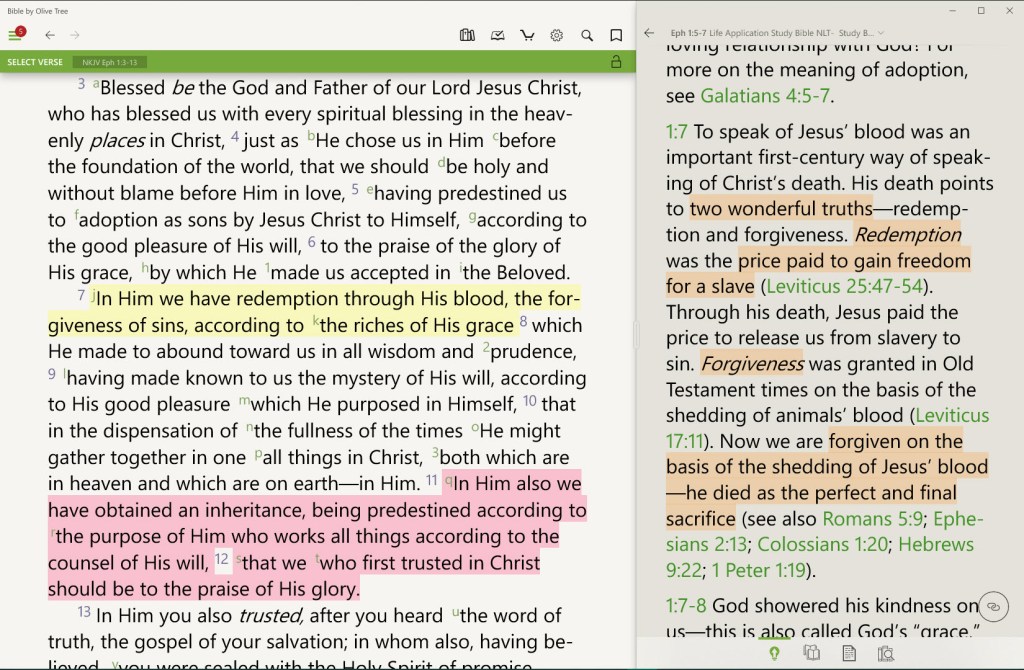 My Daily Bread (Day 93) – Redeemed & Delivered from&nbsp;Sin