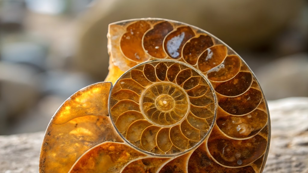 Having No Regrets About Pursuing a Purpose-Driven&nbsp;Life