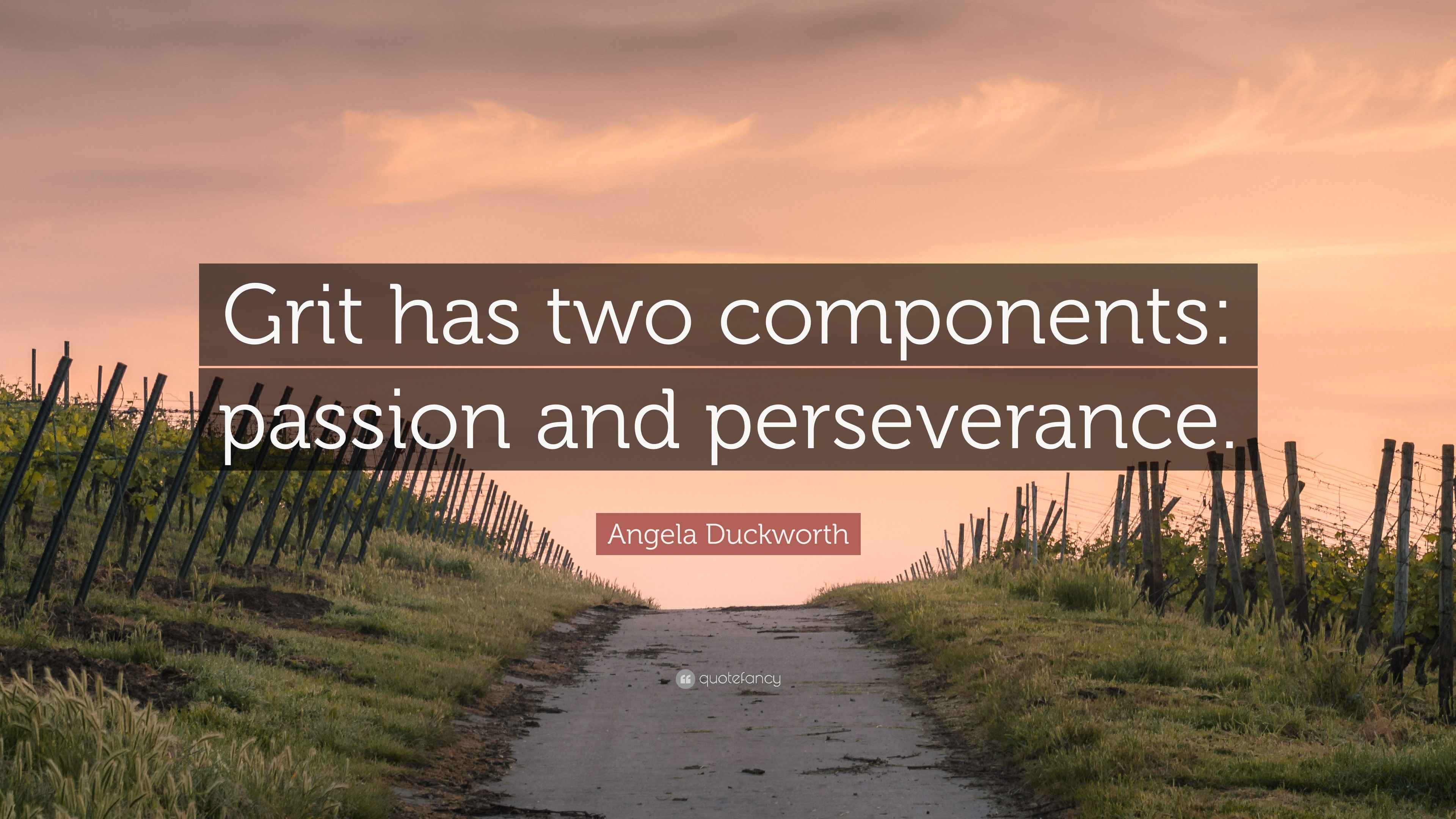 Credits: Quotefancy. One of my favourite quotes about grit from my favourite author, Angela Duckworth.