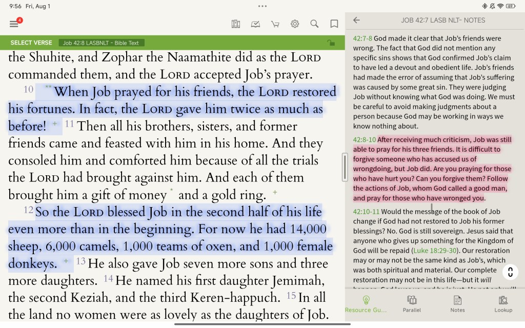 Embracing the Story of “Job” in My&nbsp;Journey