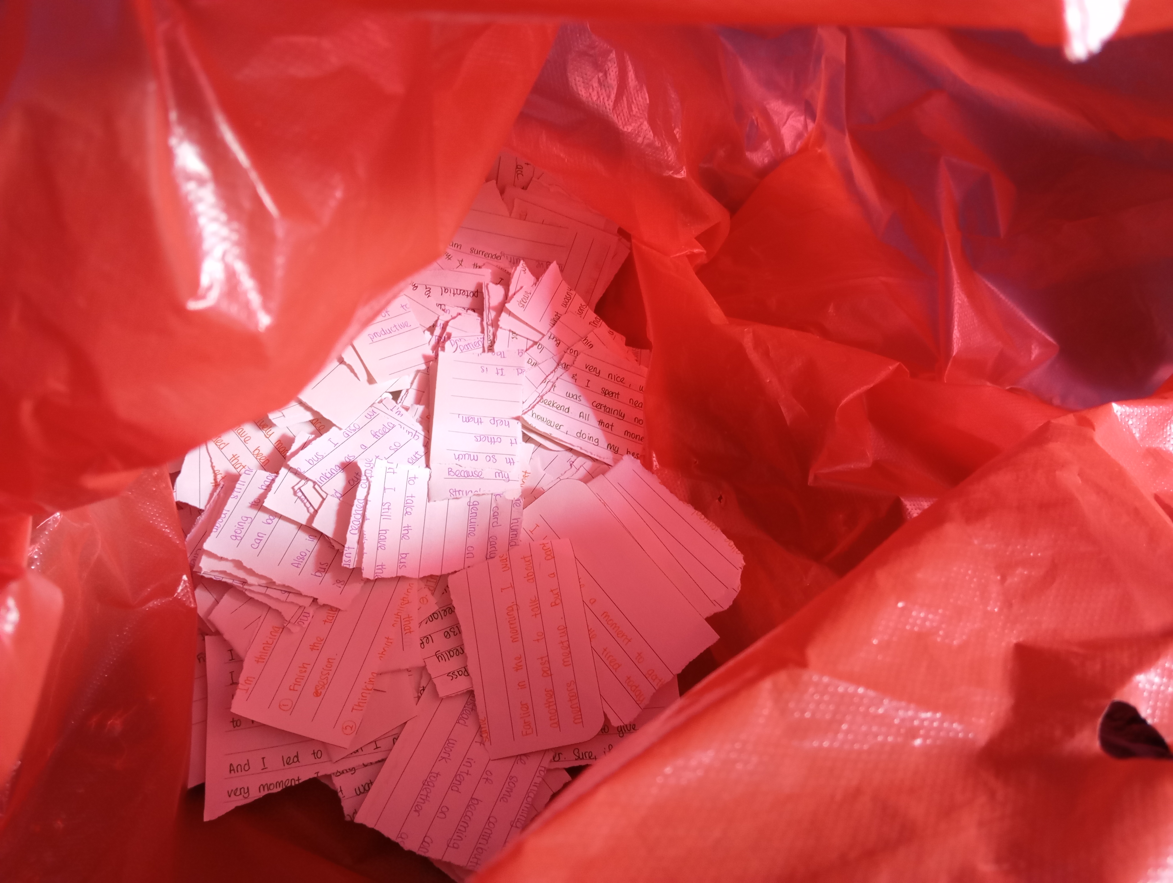 A tedious, yet necessary portion of our purge operation yesterday. I spend almost 2 hours, flipping through some of my old notebooks, and I began shredding each page.